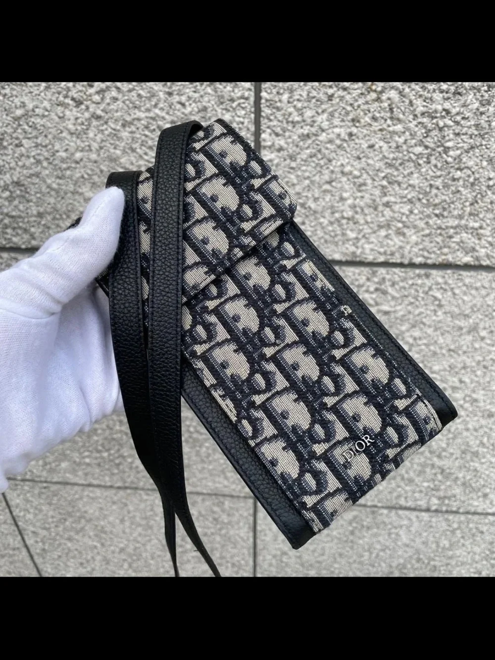 Dior signature oblique